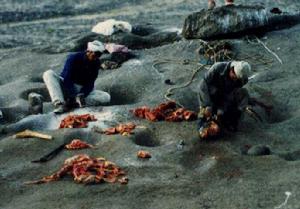 耶格\--藏语\美丽