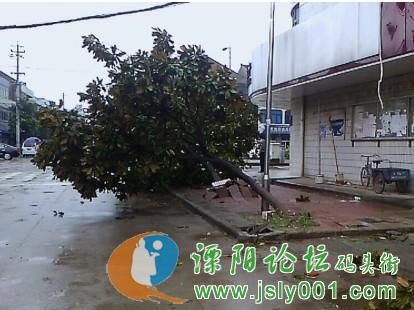 溧阳范围内受台风影响最大的地方 是在溧阳盛世华城发生的高清图片