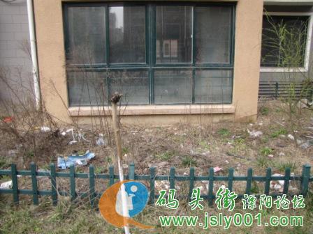 江苏省溧阳市盛世华城小区阳光雨棚真相大吐槽 高清图片