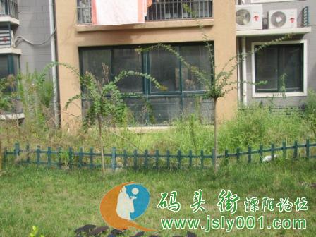 江苏省溧阳市盛世华城小区阳光雨棚真相大吐槽 高清图片