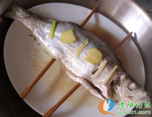 葱油蒸鳓鱼---爱吃鱼的往这里点!(标题一定要长
