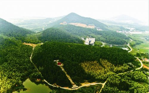 【听雨江南】10月4日高淳游子山国家森林公园,高淳老街,高淳国际慢城