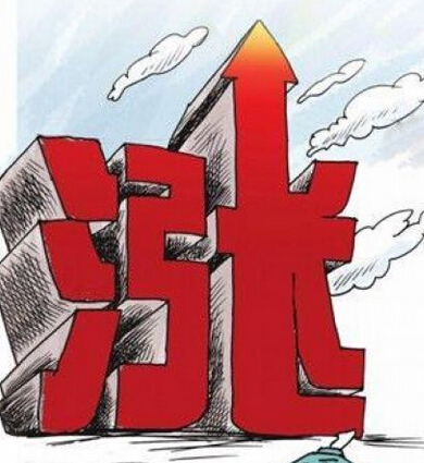 收入证明_村镇租金收入需要交税(2)