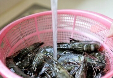 洗虾绝招 学起来