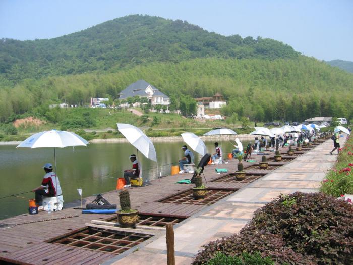 天淼山庄来钓鱼,吃羊肉