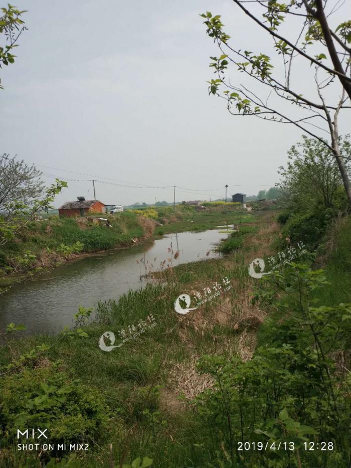 关于溧阳市别桥镇后周牛郎河道的几点问题举报,请相关部门尽快处理.