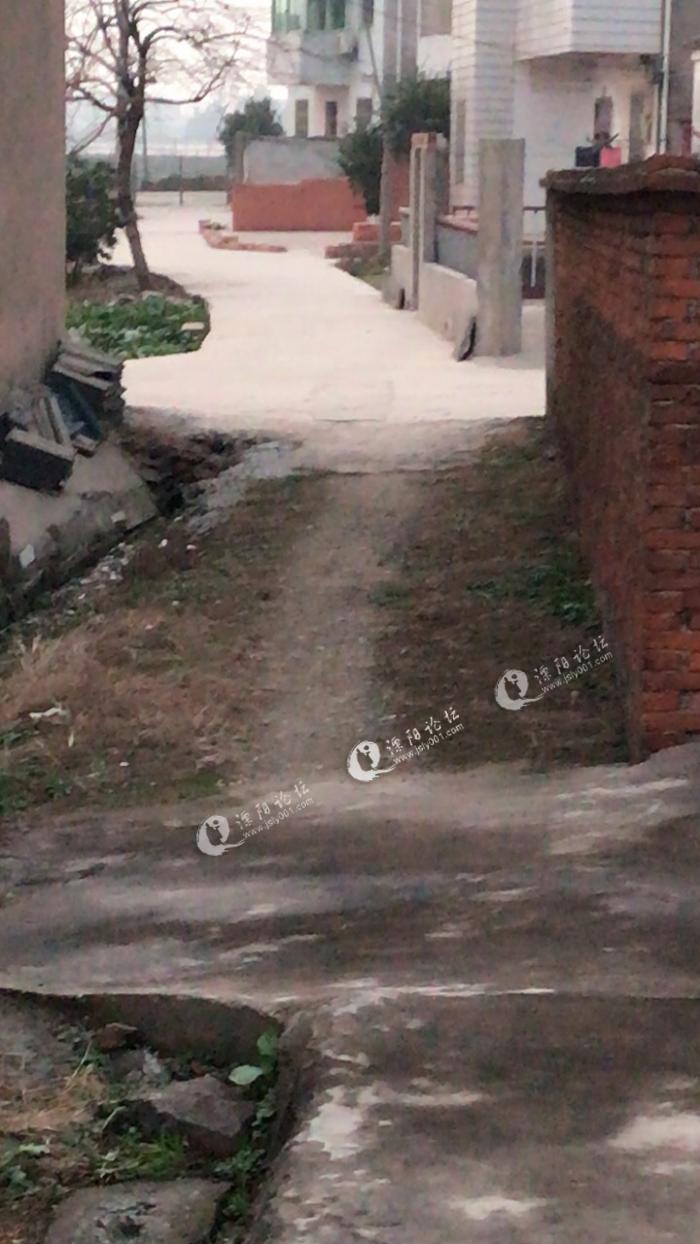 致溧阳市委的一封信,我是浪圩村的一位村民