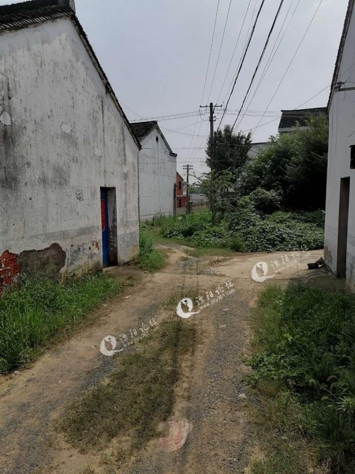 竹箦镇长岗村至今没有水泥路