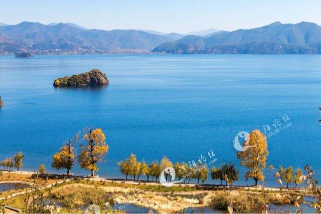 招聘打包工,分拣员