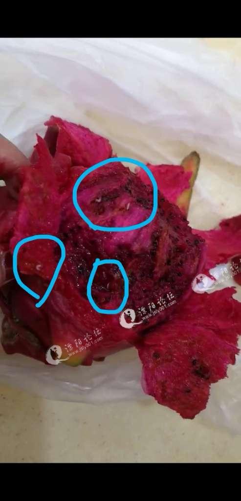 大润发买到带蛆火龙果,请相关部门给个回复