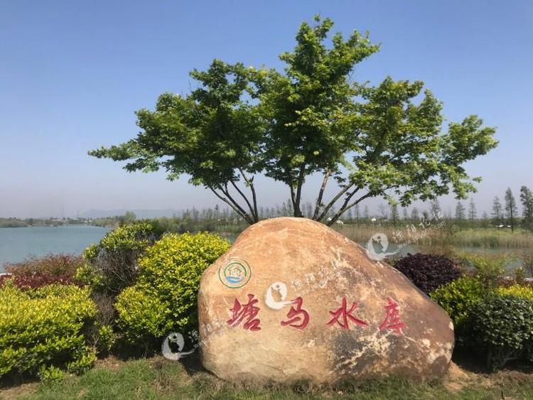 常州湖塘马杭图片