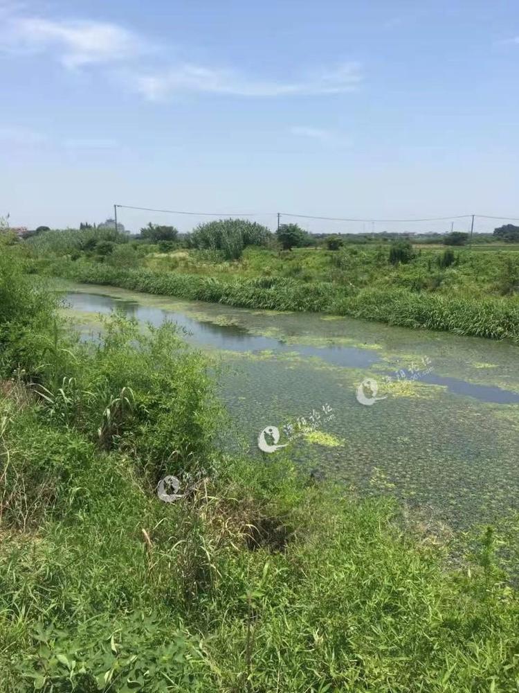 溧阳后周高家村三户人交通困难