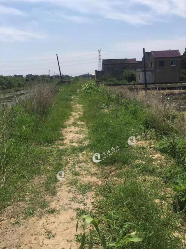 溧阳后周高家村三户人交通困难