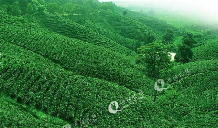 百姓生活 江苏省区域面积第一大镇上兴       溧阳市地处长江三角洲