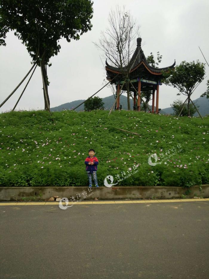 来自我是上兴人的帖子