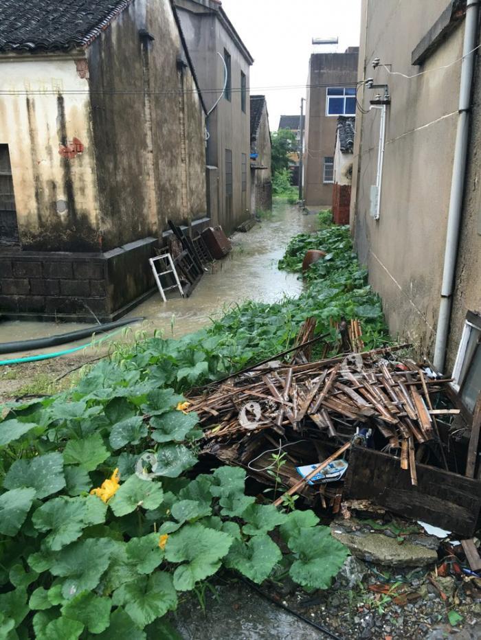 戴埠镇百家塘村的大水-溧阳论坛