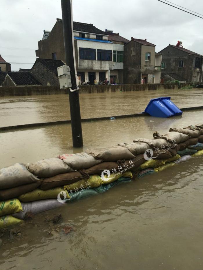 戴埠镇百家塘村的大水-溧阳论坛