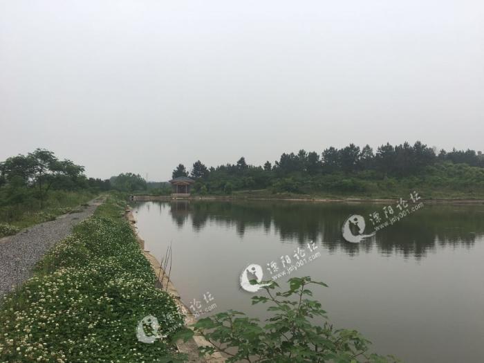 溧阳社渚家用农场出租 转让