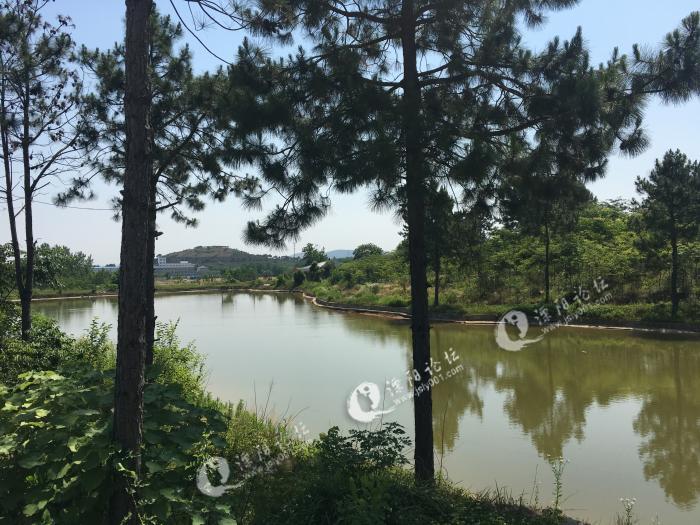溧阳社渚家用农场出租 出售