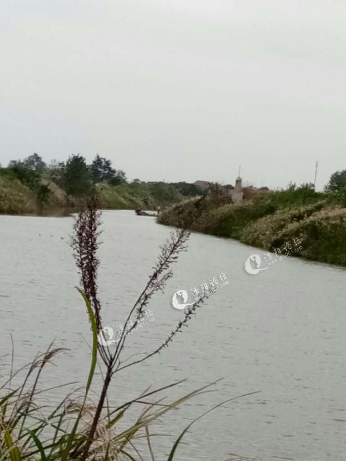 我們湯橋東陵那段河裡有個安徽的經常去電魚,開個柴油機,媽蛋