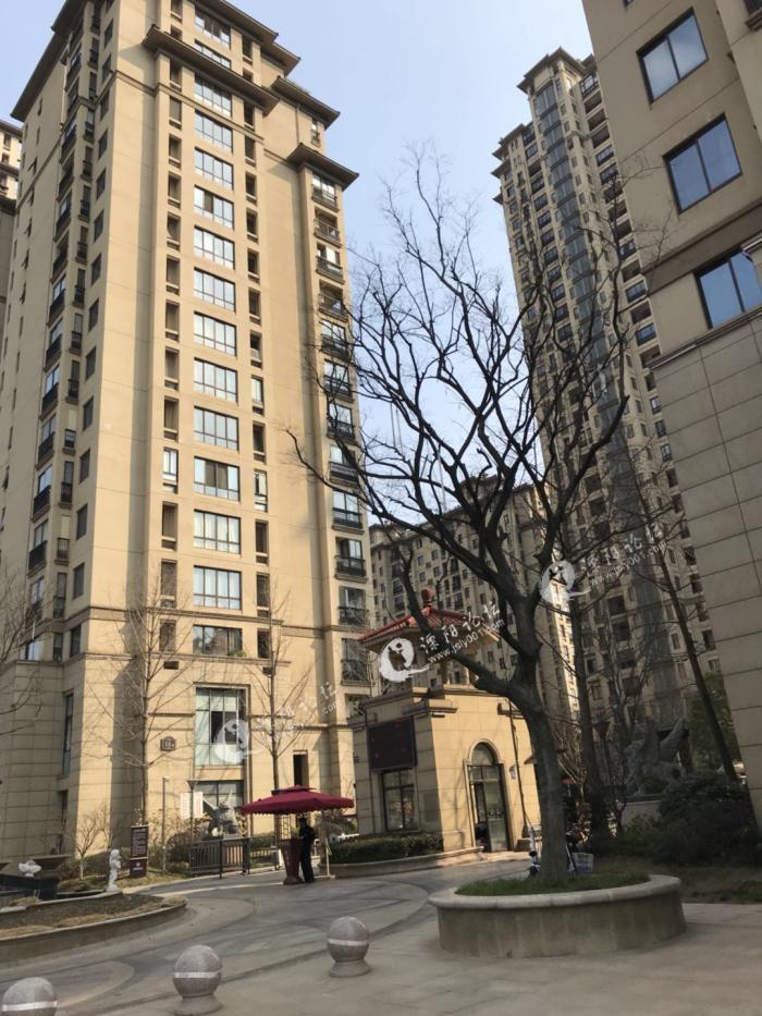 君悦豪庭旺铺招租中!-溧阳论坛