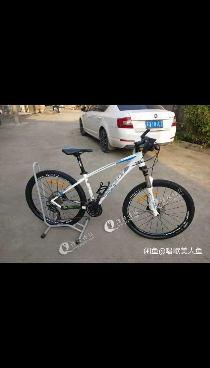 17款美利达挑战者600