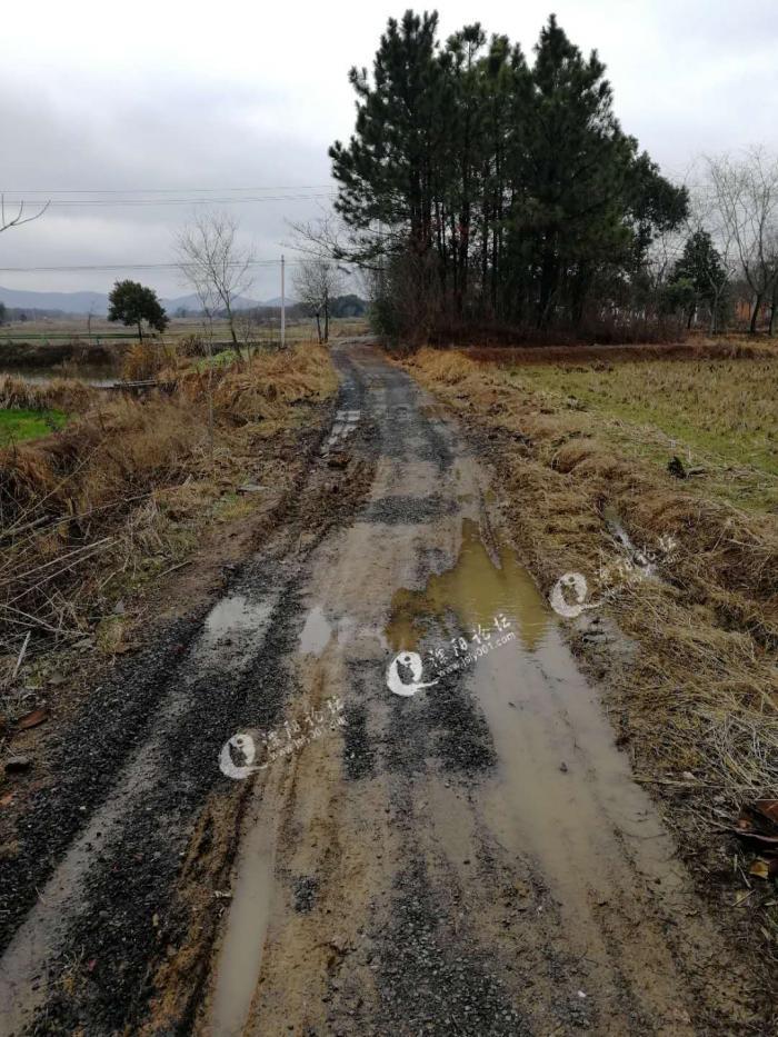 正宗"水泥路,溧阳上兴升旗村的路泥泞不堪,出行困难!