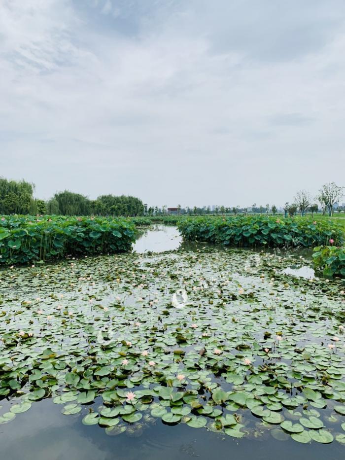 溧阳八字桥终于来看你了