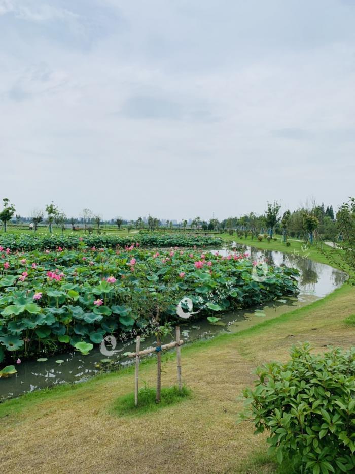 溧阳八字桥终于来看你了