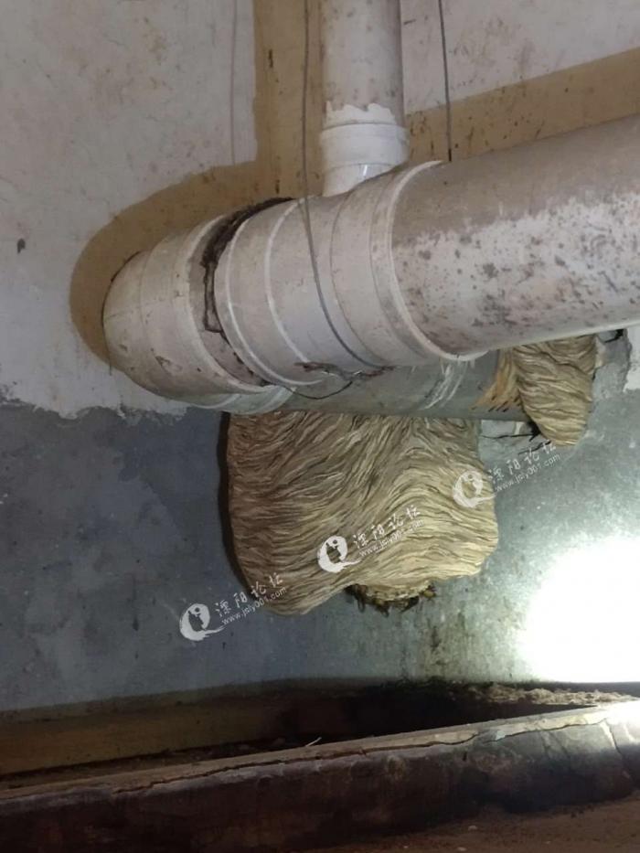 牛角蜂蜂窝可以卖吗?