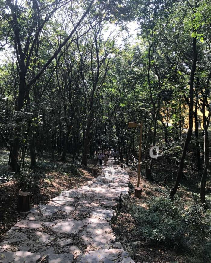 溧阳的朋友们,爬山吗?