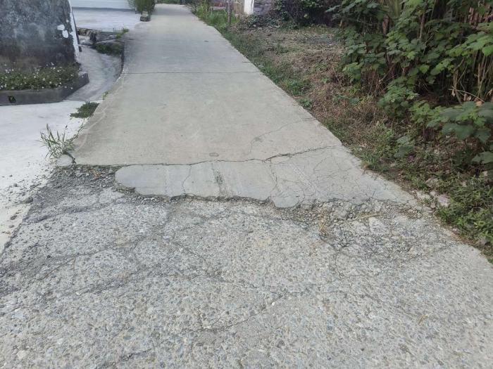 点击查看原图